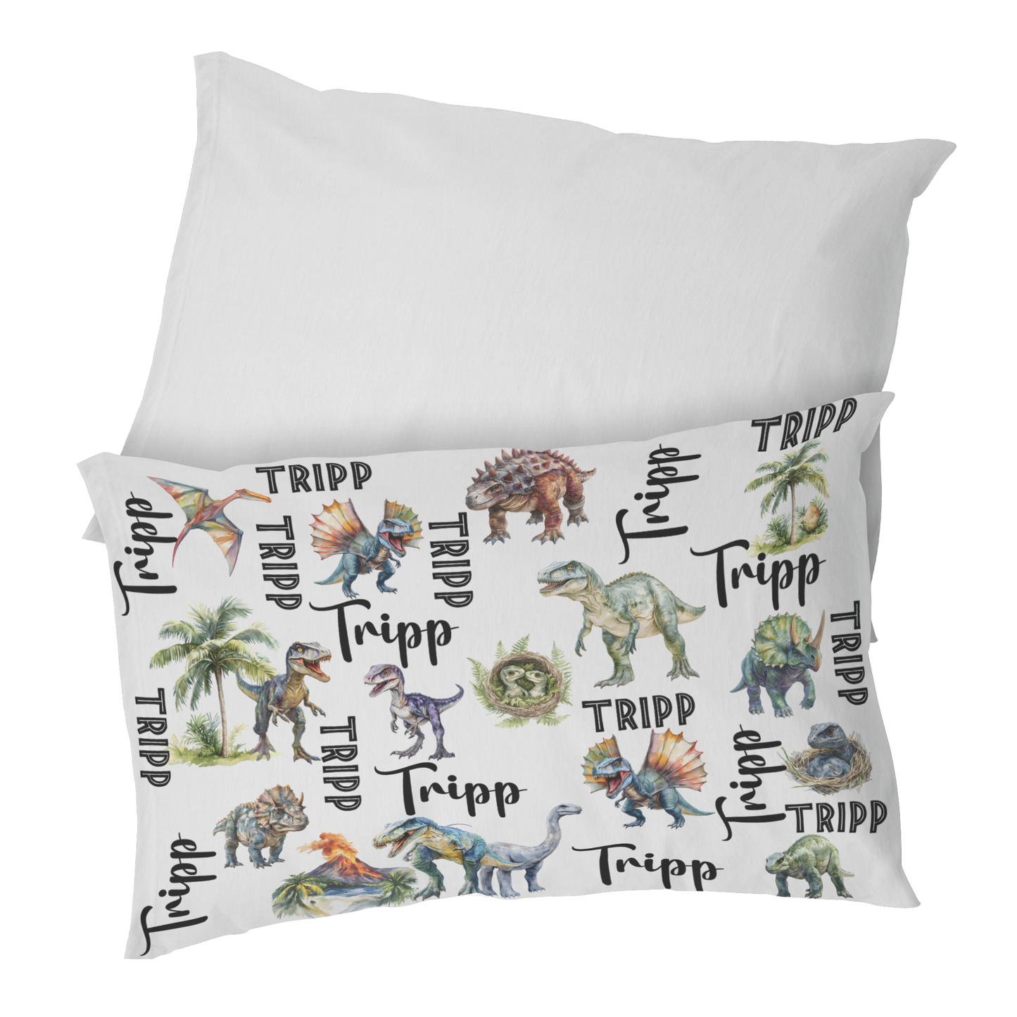 Dinosaur Mink or Sherpa Fleece Blanket, With Matching Pillow Cases