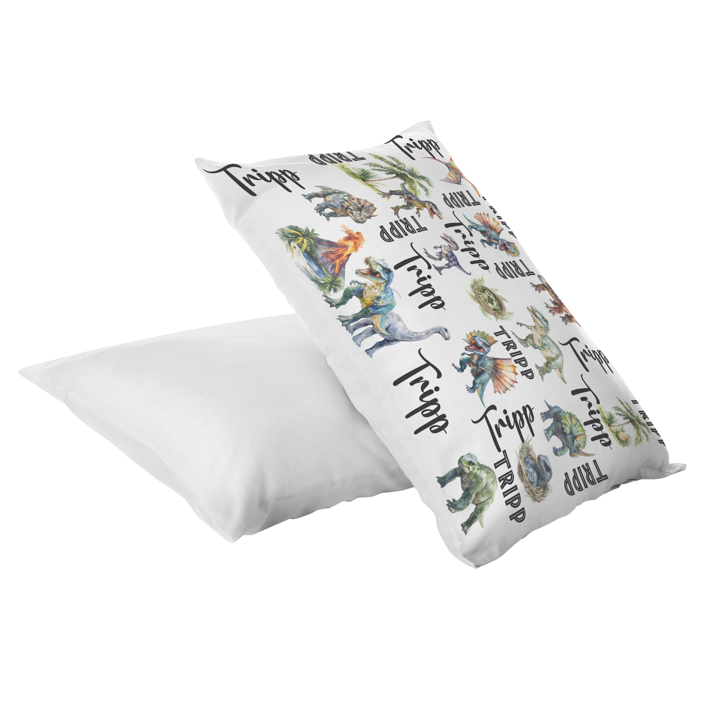 Dinosaur Mink or Sherpa Fleece Blanket, With Matching Pillow Cases