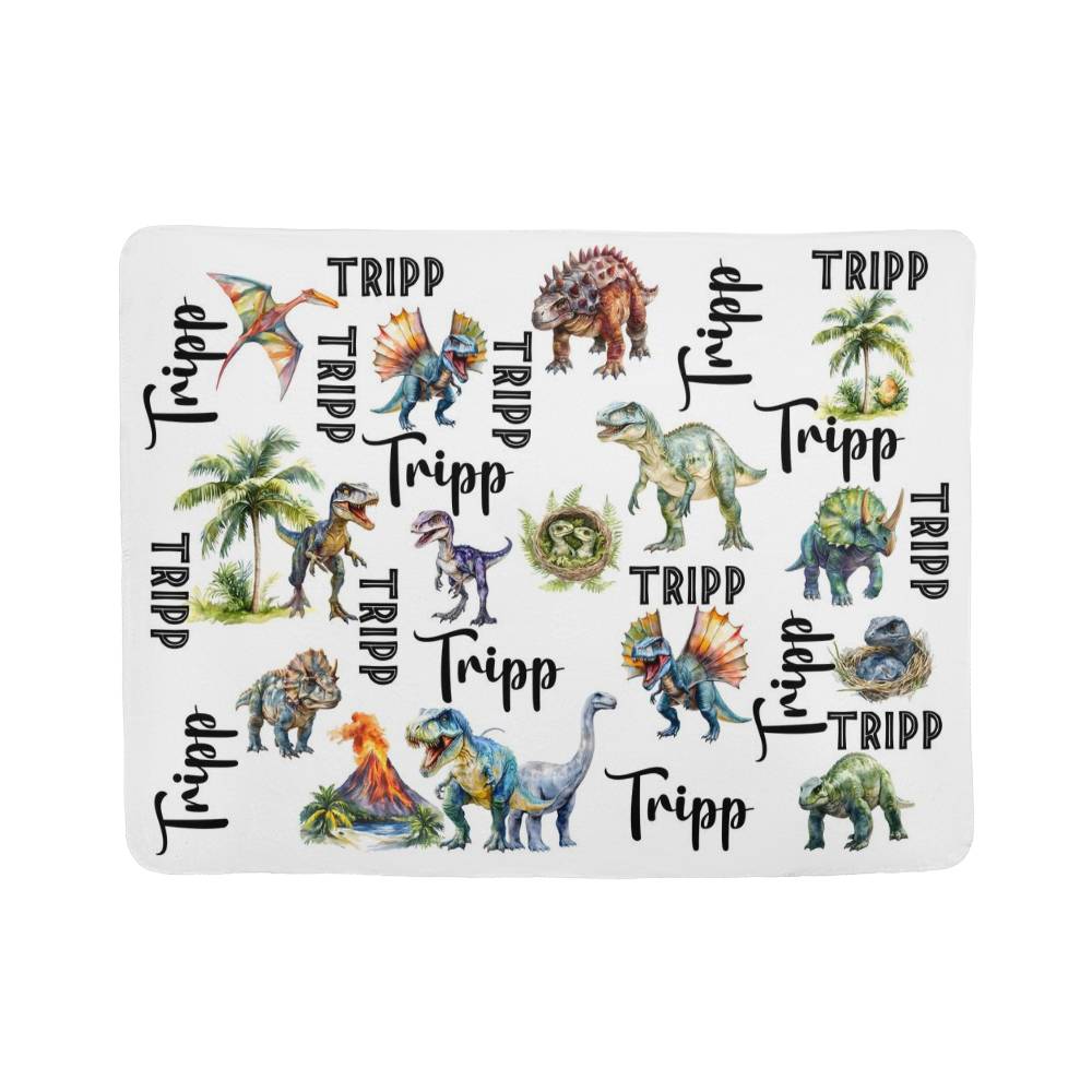 Dinosaur Mink or Sherpa Fleece Blanket, With Matching Pillow Cases