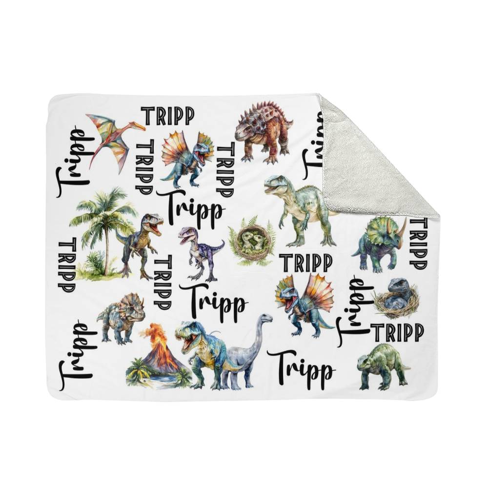 Dinosaur Mink or Sherpa Fleece Blanket, With Matching Pillow Cases