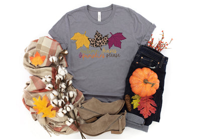 Autumn Leaves And Pumpkins Please Adult Ladies Classic Tees